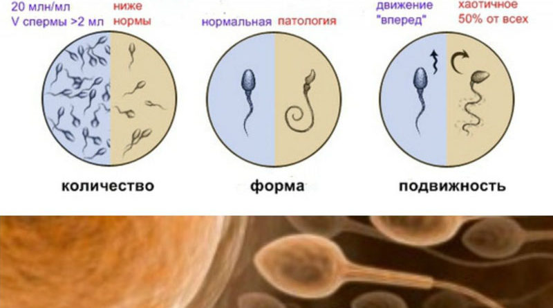 Жирная сперма на лице горничной после траха