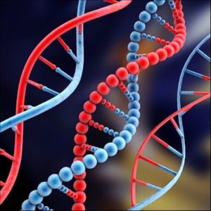 Тесты ДНК на отцовство, родства, материнства для суда 